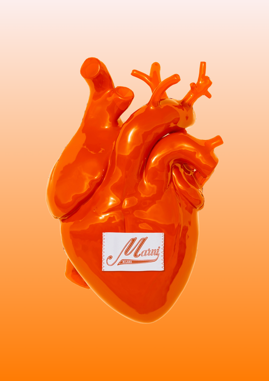 Marni Heart